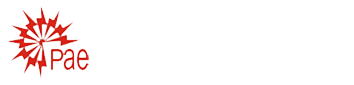 Power Ace Engineering